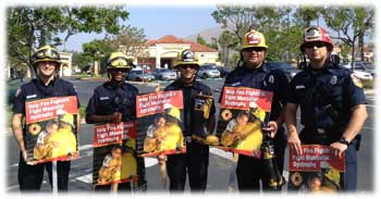 Photo of firefighters holding signs for Fill the Boot 