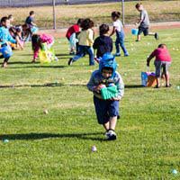 Child gathering eggs